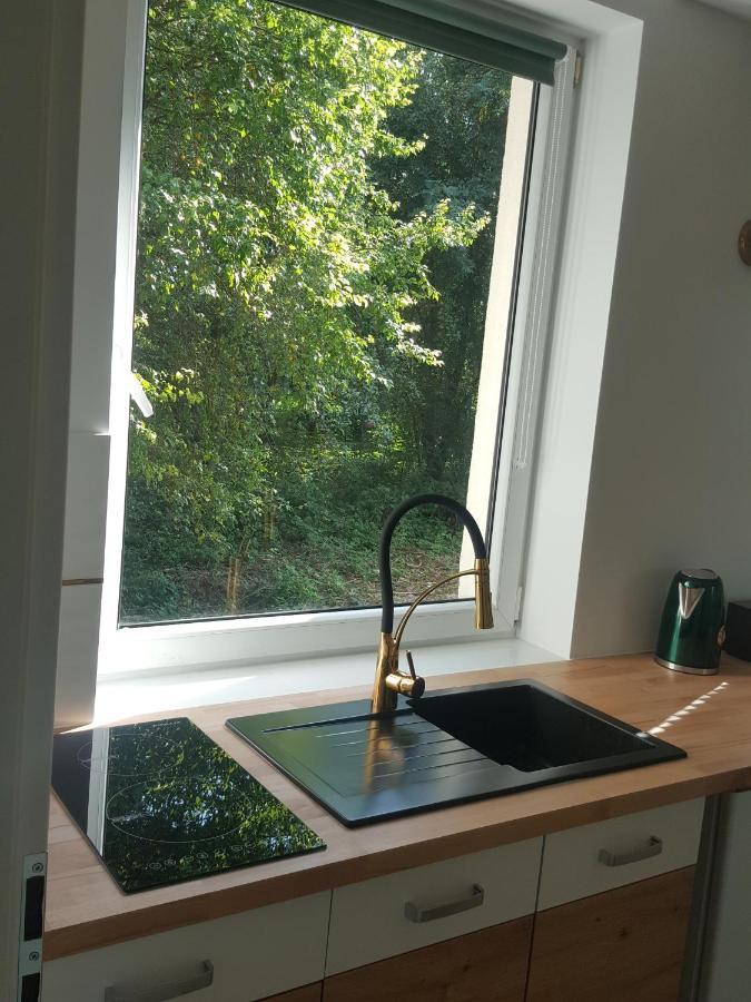 Apartment Kameleon Busko Zdroj